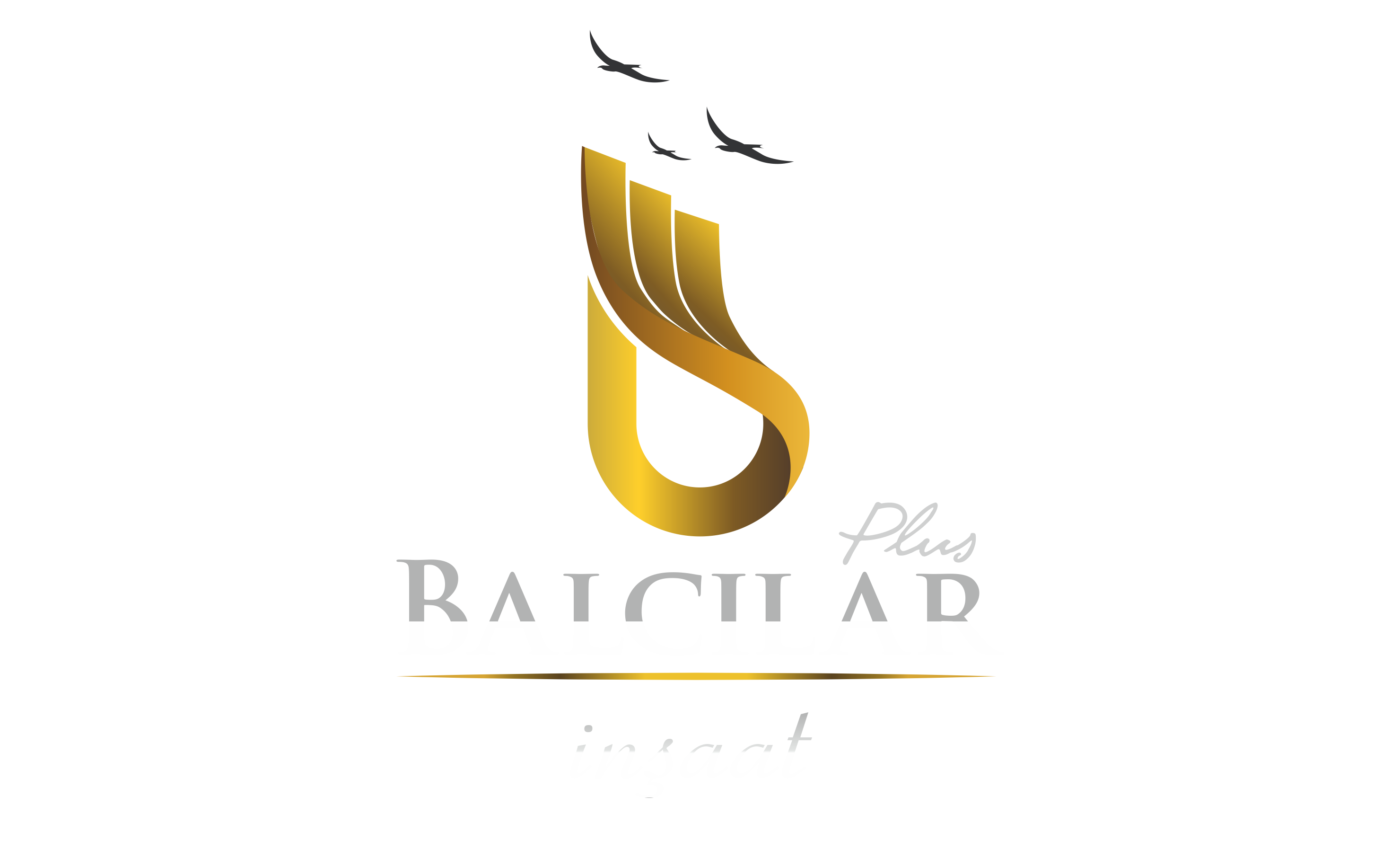 Balcılar Plus İnşaat 